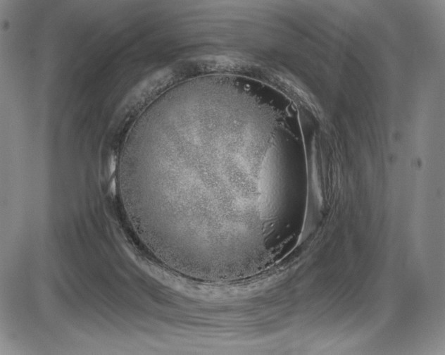 X0000086270022200703291447