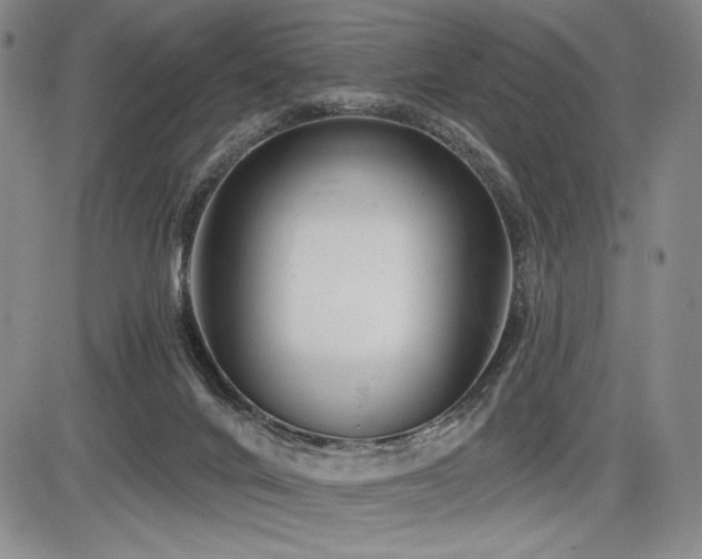 X0000086270024200703291447