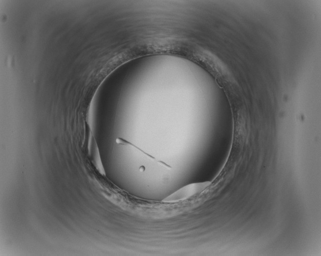 X0000086270025200703291447