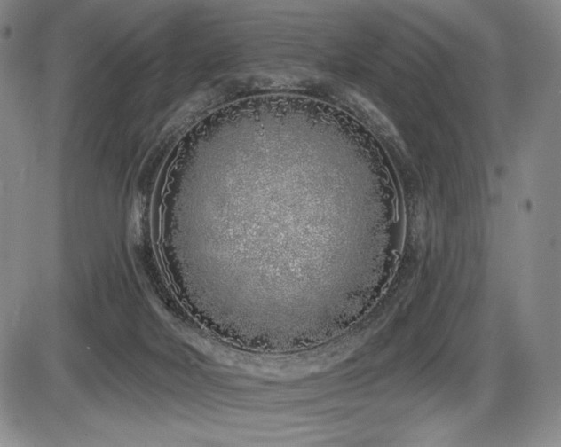 X0000086270026200703291447