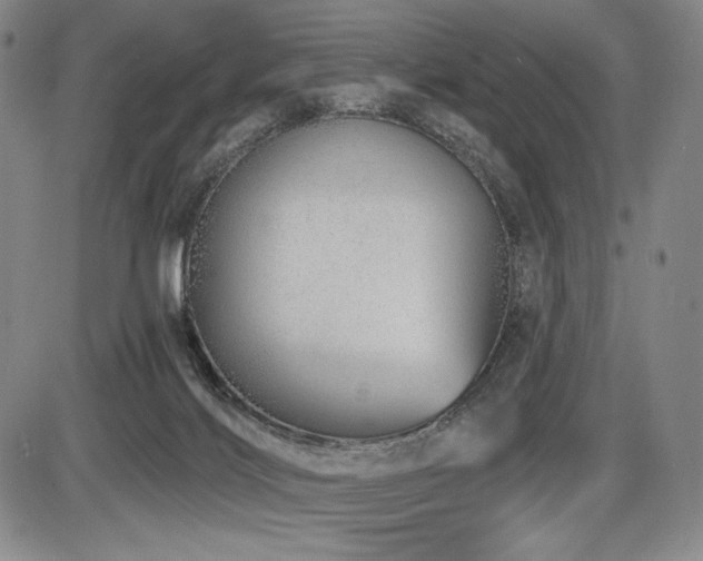 X0000086270028200703291447