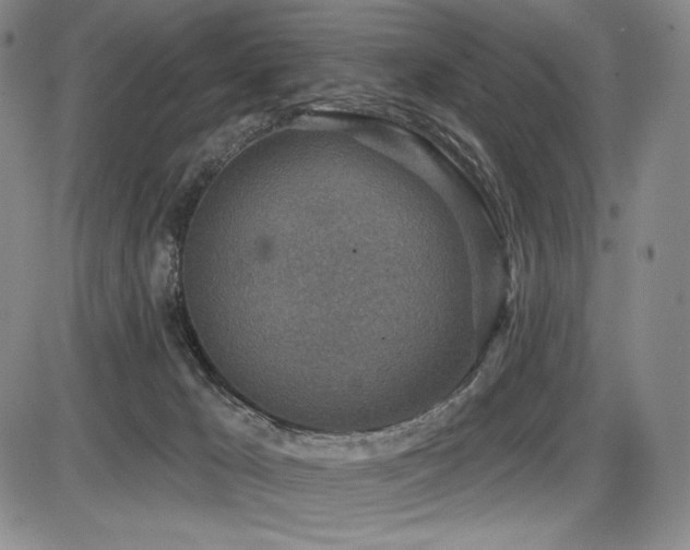 X0000086270029200703291447