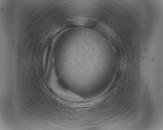 X0000086270031200703291447