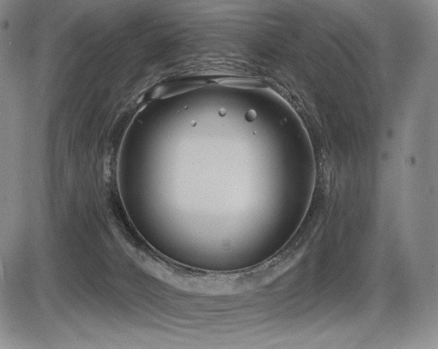 X0000086270032200703291447