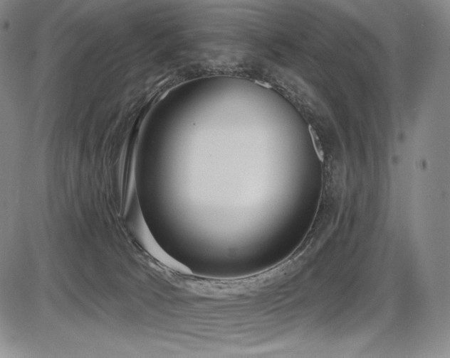 X0000086270033200703291447