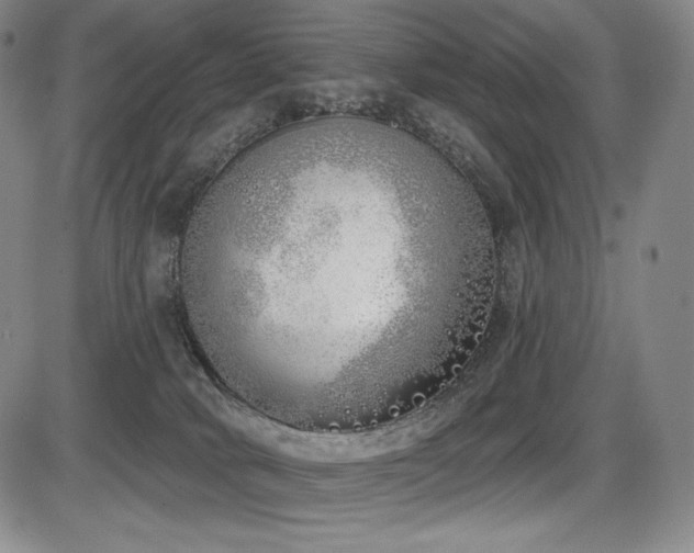 X0000086270034200703291447