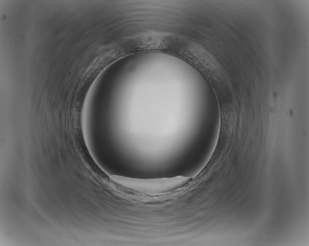 X0000086270035200703291447