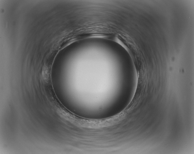 X0000086270037200703291447