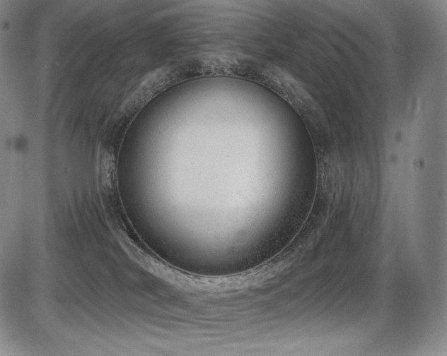 X0000086270038200703291447