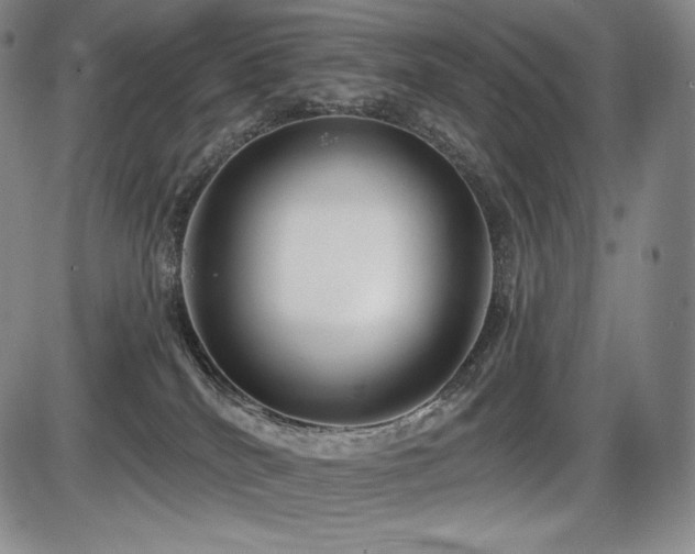 X0000086270040200703291447