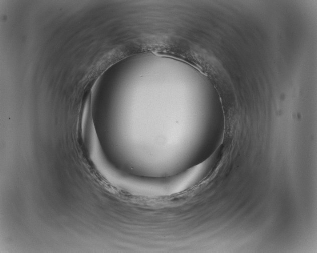 X0000086270041200703291447