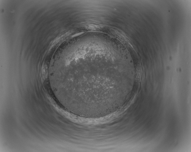 X0000086270043200703291447