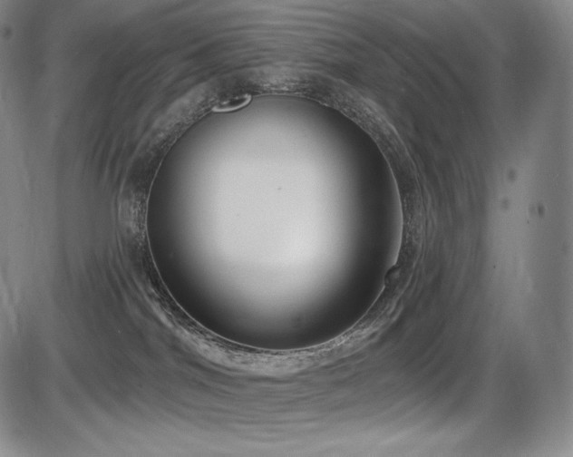 X0000086270044200703291447