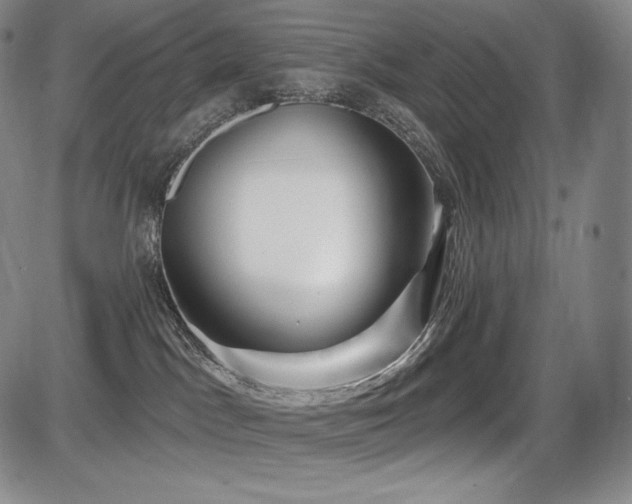 X0000086270045200703291447