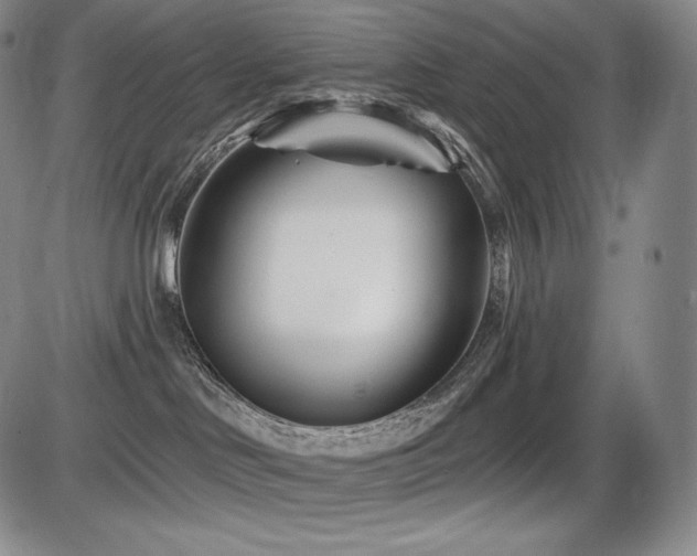 X0000086270046200703291447