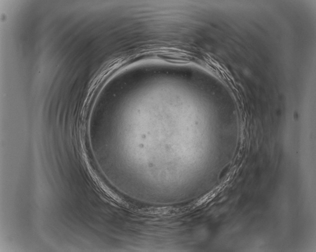 X0000086270049200703291446