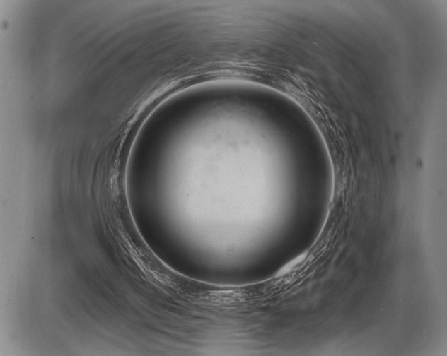 X0000086270050200703291446