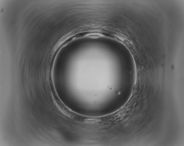 X0000086270051200703291446