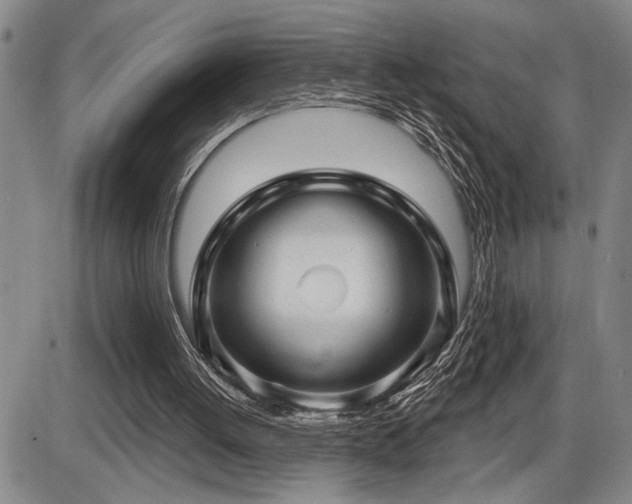 X0000086270052200703291446