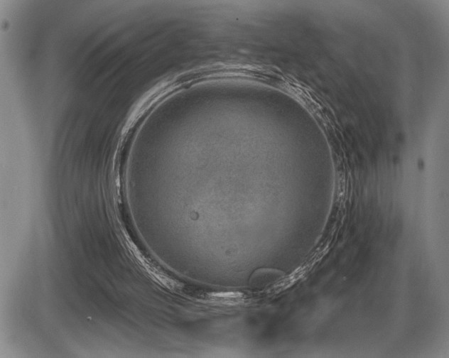 X0000086270053200703291446