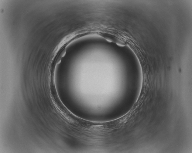 X0000086270054200703291446