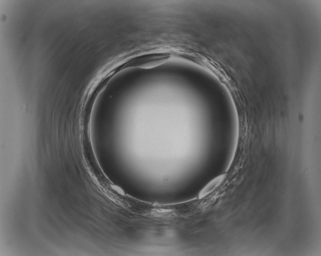 X0000086270055200703291446