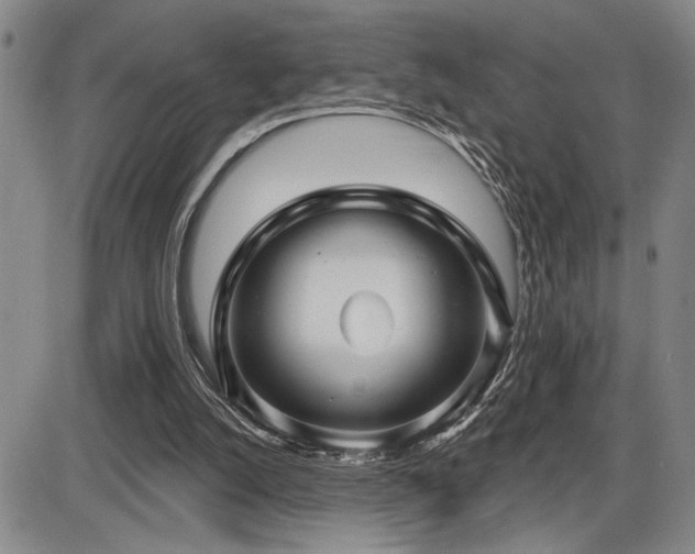 X0000086270056200703291446