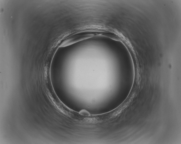 X0000086270057200703291446