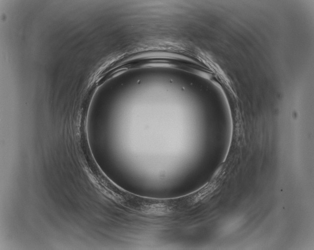 X0000086270058200703291446