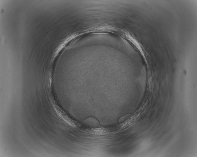 X0000086270059200703291446