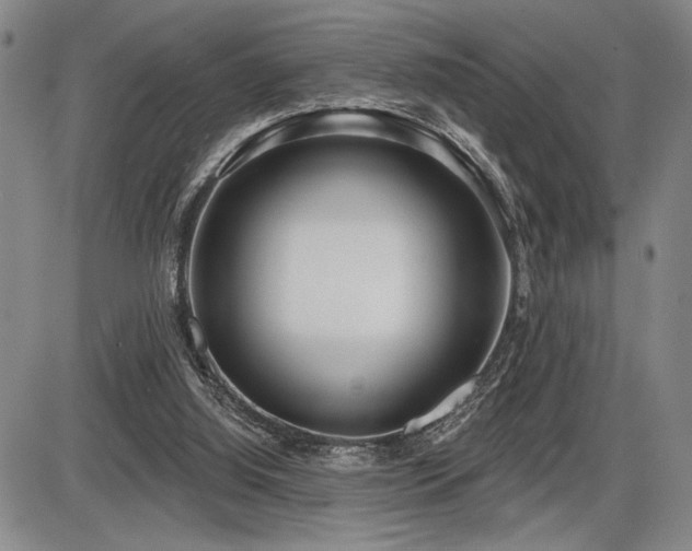 X0000086270060200703291446