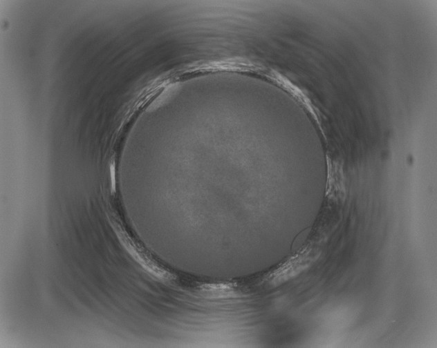 X0000086270061200703291446