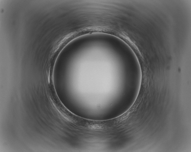 X0000086270062200703291446