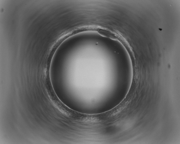 X0000086270063200703291446