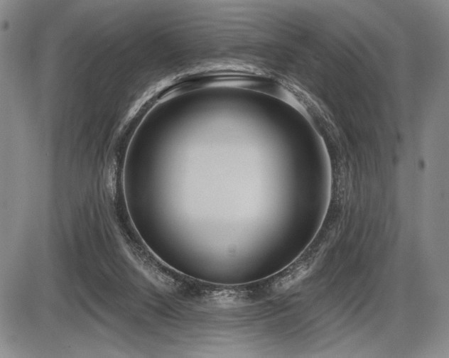 X0000086270064200703291446