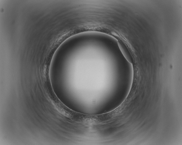 X0000086270066200703291446