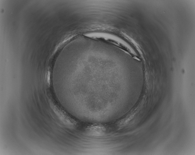 X0000086270067200703291446