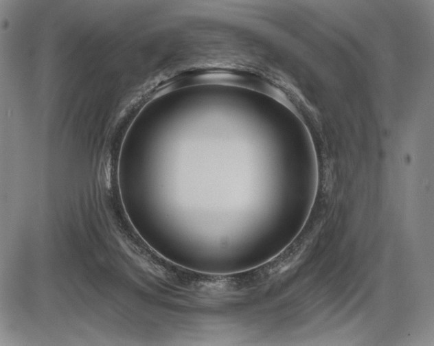 X0000086270068200703291446