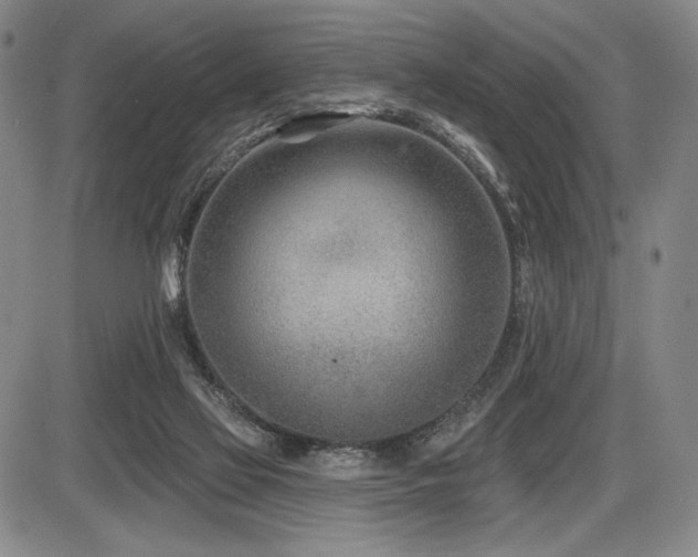 X0000086270069200703291446