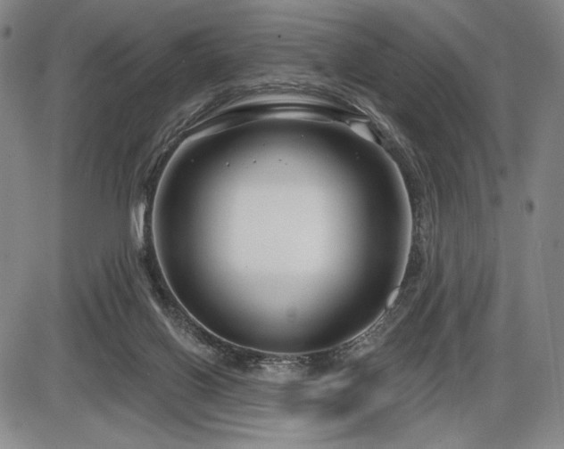 X0000086270070200703291446