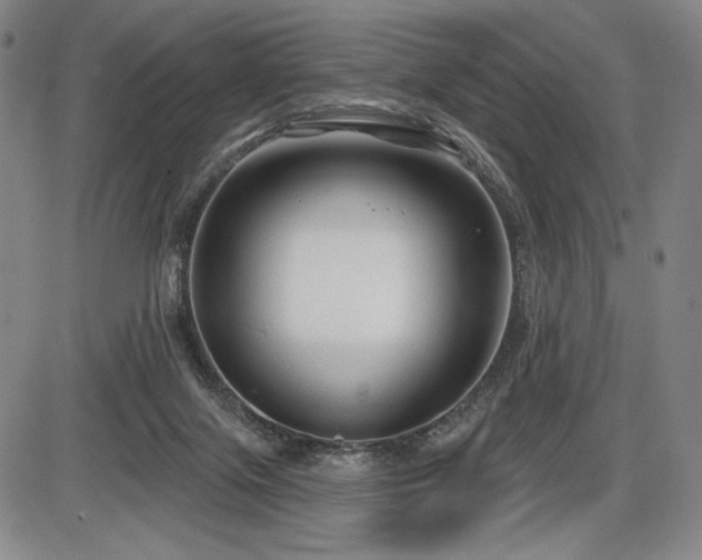 X0000086270071200703291446