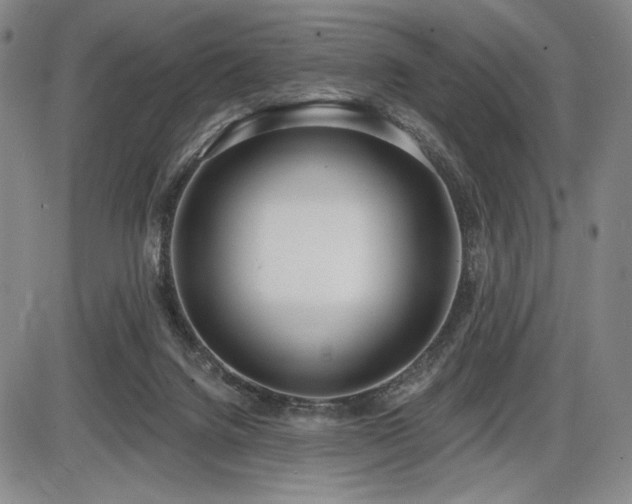 X0000086270072200703291446