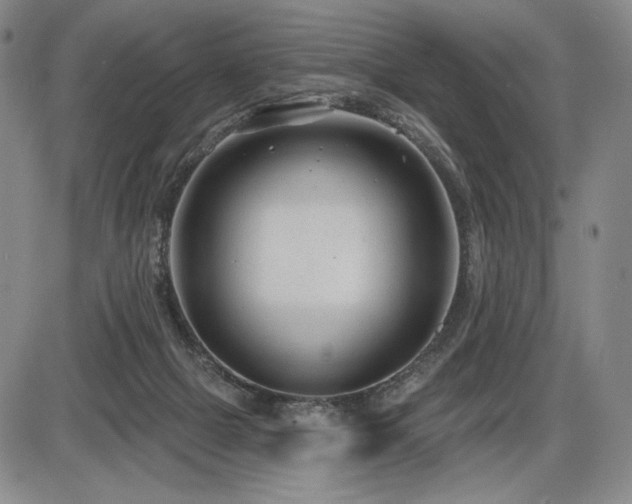 X0000086270073200703291446