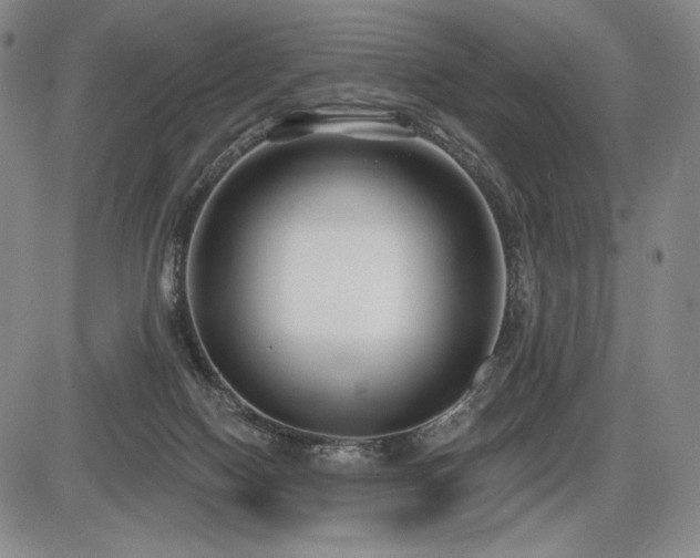 X0000086270074200703291446