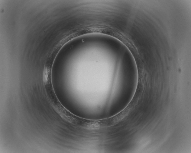 X0000086270075200703291446