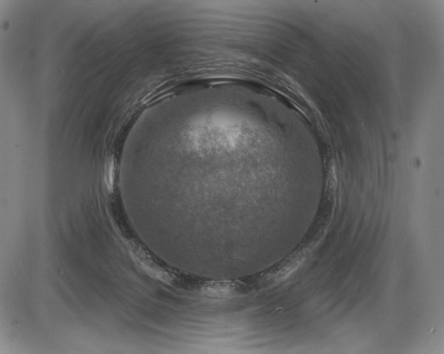 X0000086270076200703291446