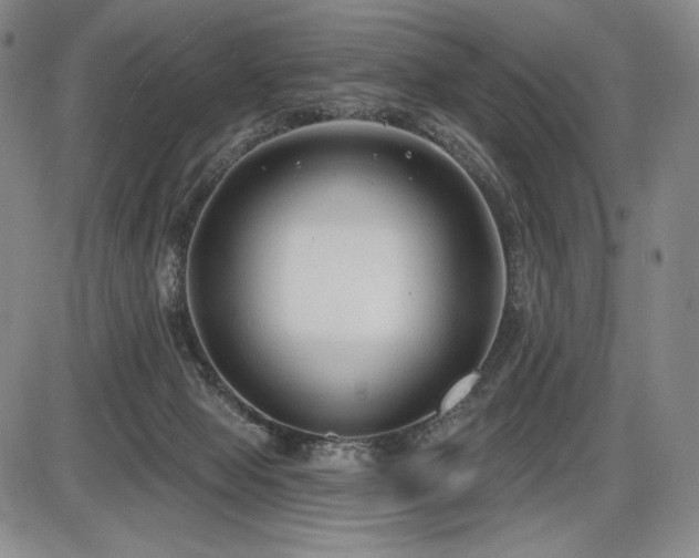 X0000086270077200703291446