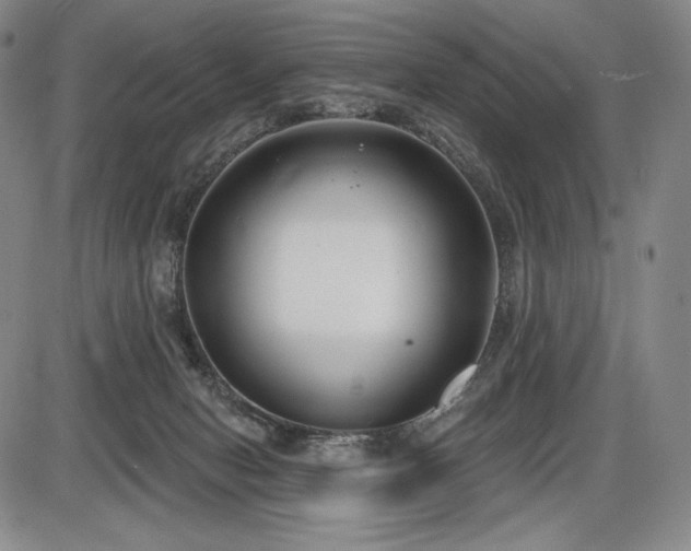 X0000086270078200703291446