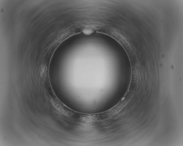 X0000086270079200703291446