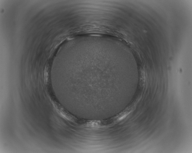 X0000086270080200703291446